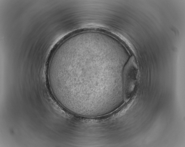 X0000112780783200909031628