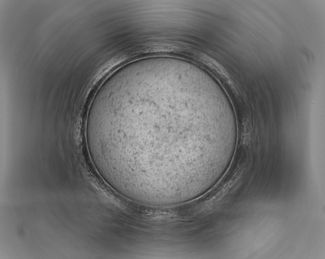 X0000112780786200909031628