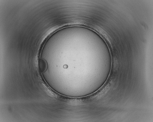 X0000112780789200909031628