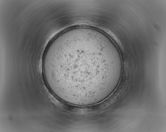 X0000112780791200909031628