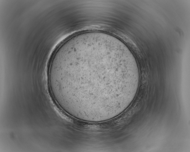 X0000112780792200909031628