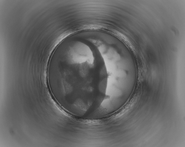 X0000112780802200909031628