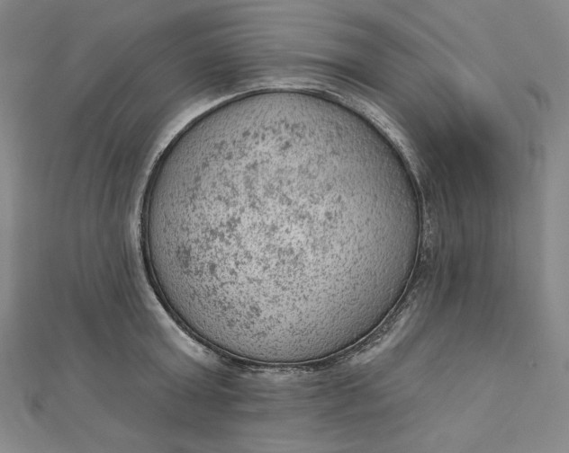 X0000112780803200909031628