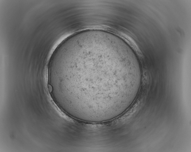 X0000112780804200909031628