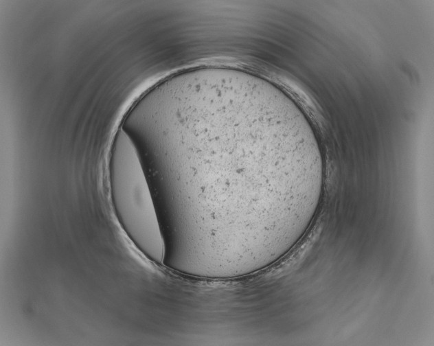 X0000112780808200909031628