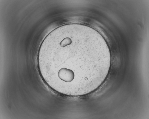 X0000112780810200909031628