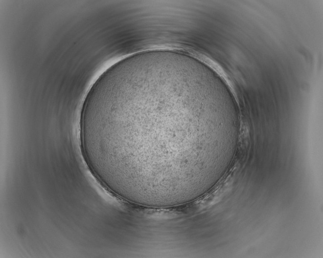 X0000112780811200909031628