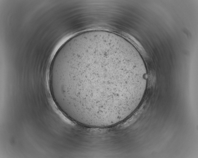 X0000112780812200909031628