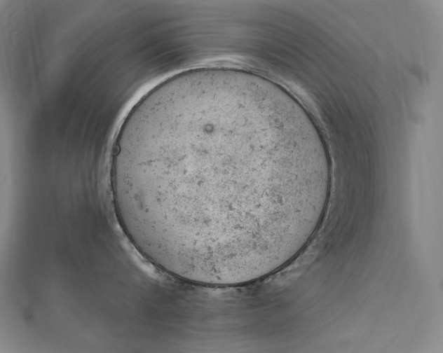 X0000112780816200909031627