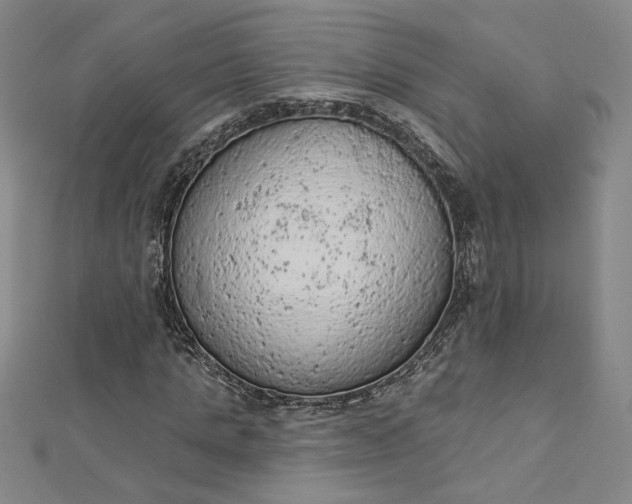 X0000112780821200909031627