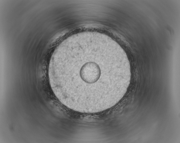 X0000112780824200909031627