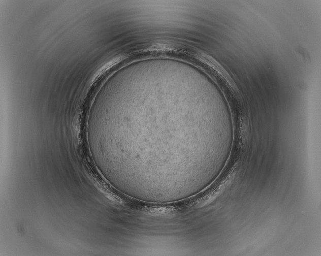 X0000112780826200909031627