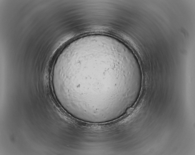 X0000112780827200909031627