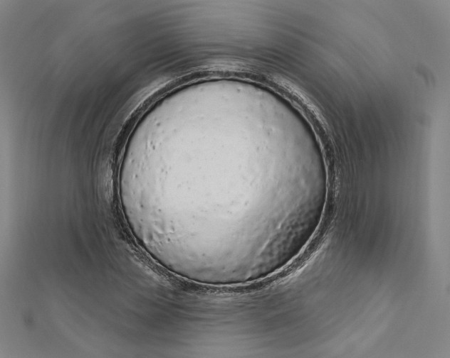 X0000112780829200909031627