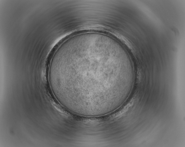 X0000112780830200909031627