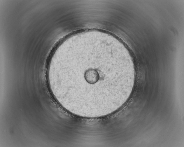 X0000112780832200909031627