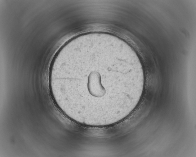 X0000112780836200909031627