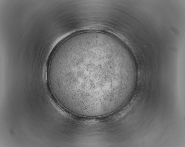 X0000112780838200909031627