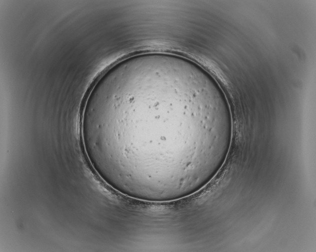 X0000112780839200909031627