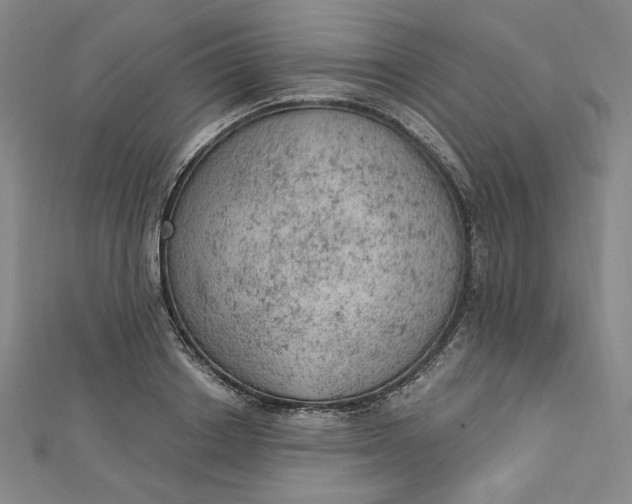 X0000112780842200909031627