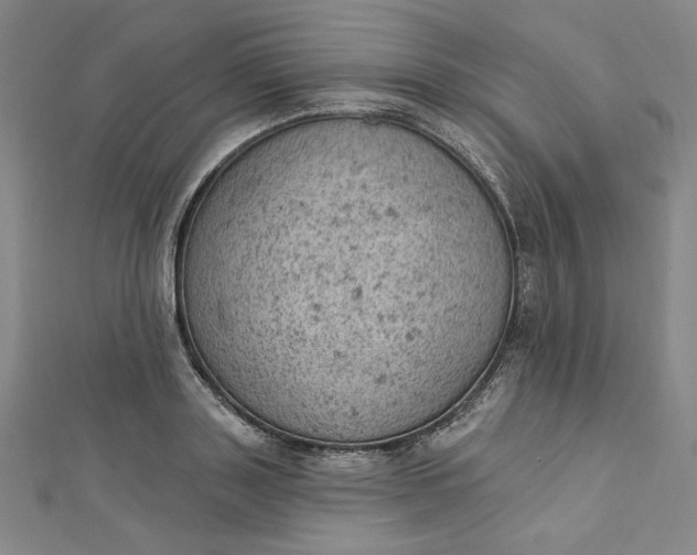 X0000112780843200909031627