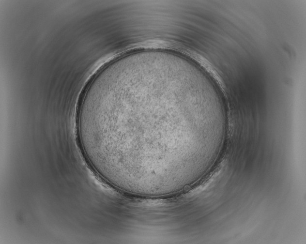 X0000112780845200909031627