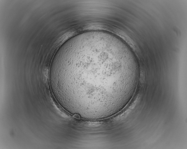 X0000112780849200909031627