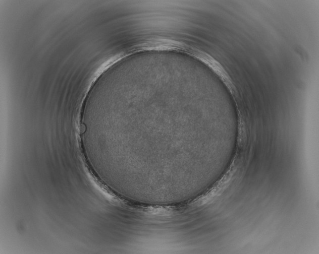 X0000112780850200909031627