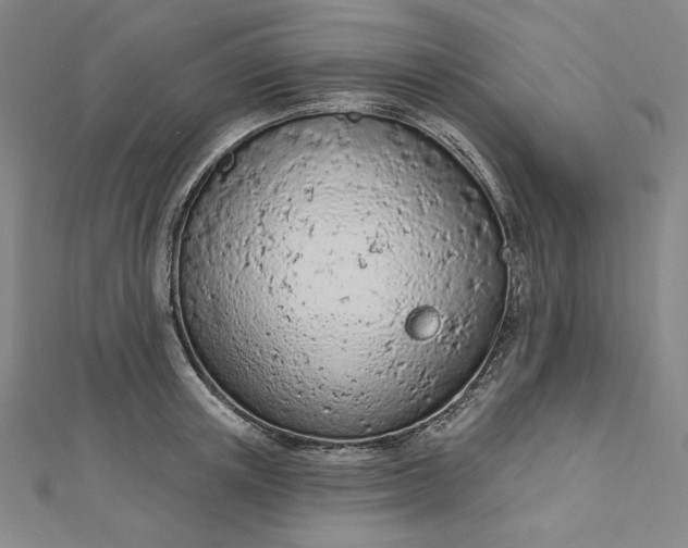 X0000112780851200909031627