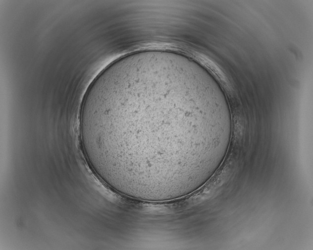 X0000112780852200909031627