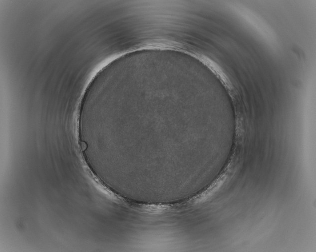 X0000112780854200909031627