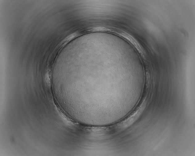 X0000112780857200909031627