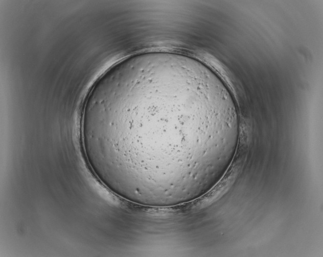 X0000112780859200909031627