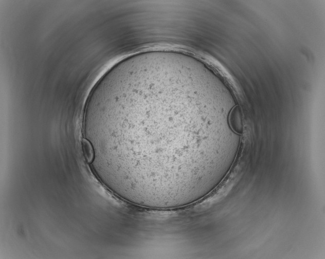 X0000112780860200909031627