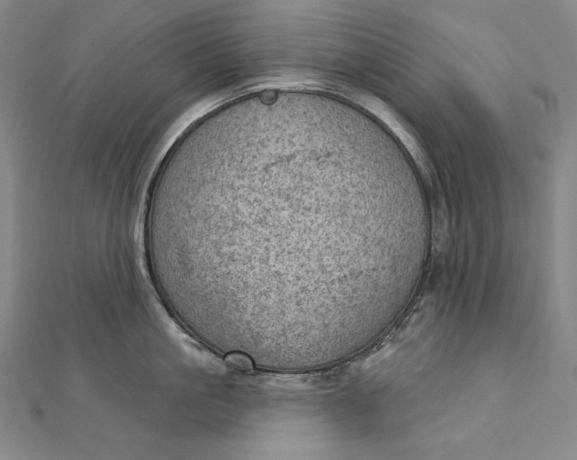 X0000112780861200909031627