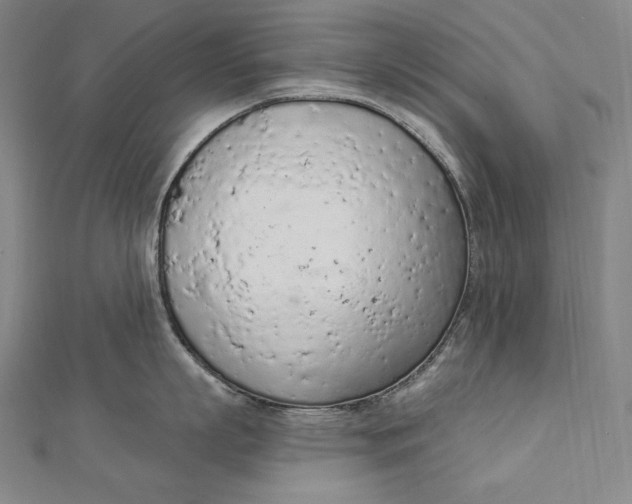 X0000112780863200909031627