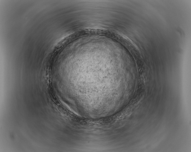 X0000112780870200909031627