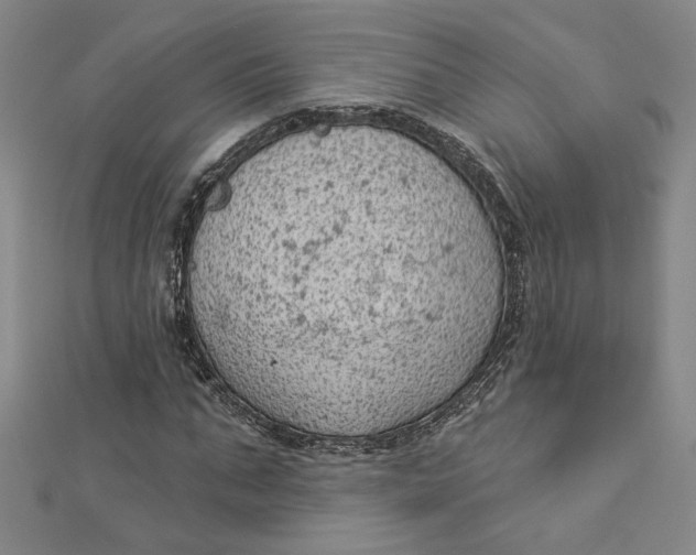 X0000112780871200909031627