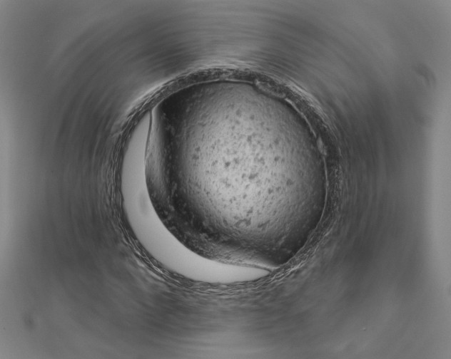 X0000112780872200909031627