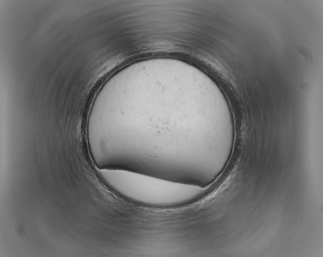 X0000112780873200909031627