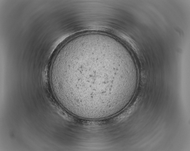 X0000112780875200909031627