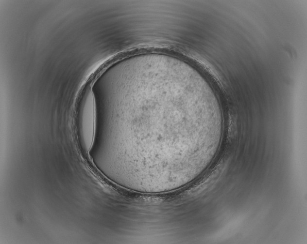 X0000112780878200909031627