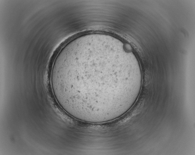 X0000112780880200909031627