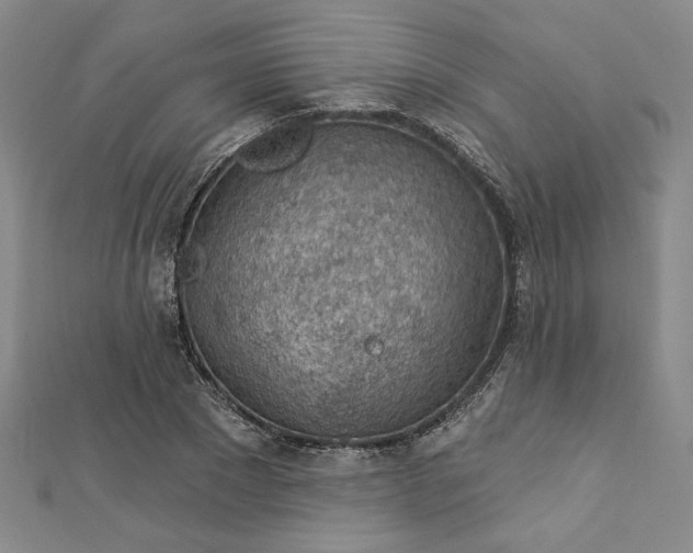 X0000112780881200909031627