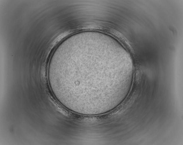 X0000112780882200909031627