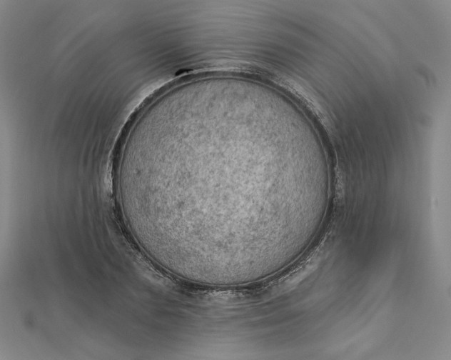 X0000112780883200909031627