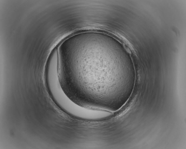 X0000112780885200909031627