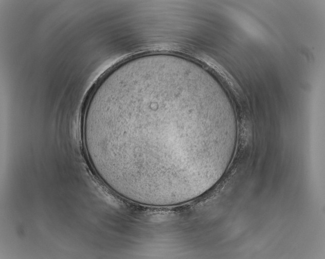 X0000112780886200909031627