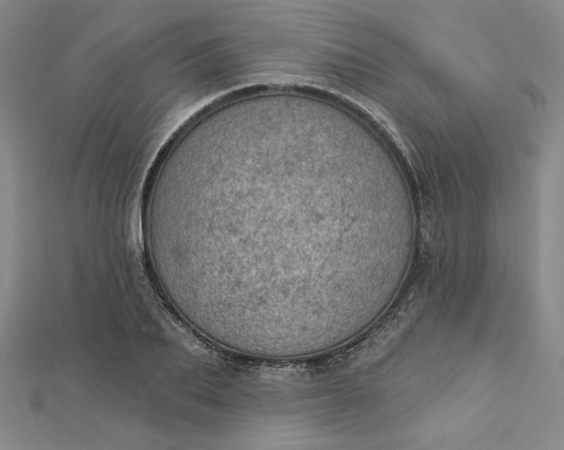 X0000112780887200909031627