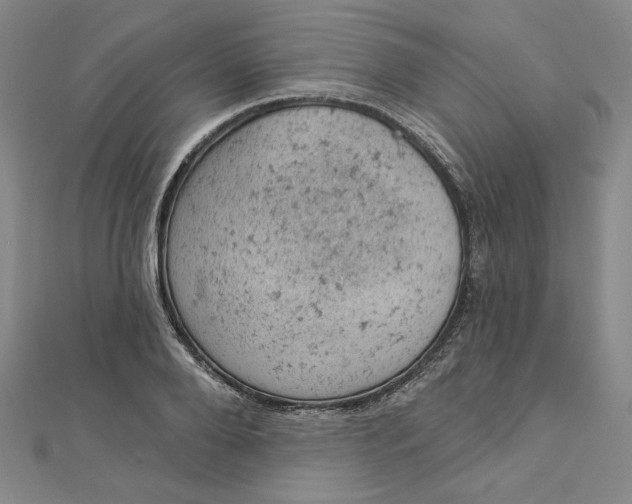 X0000112780888200909031627